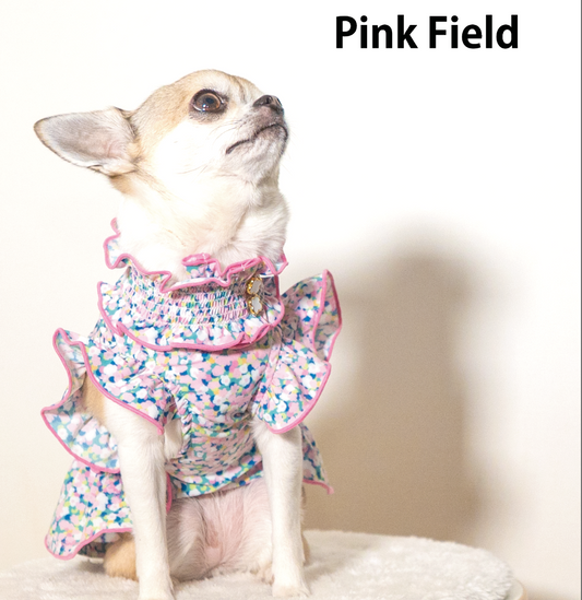 PINK FIELD