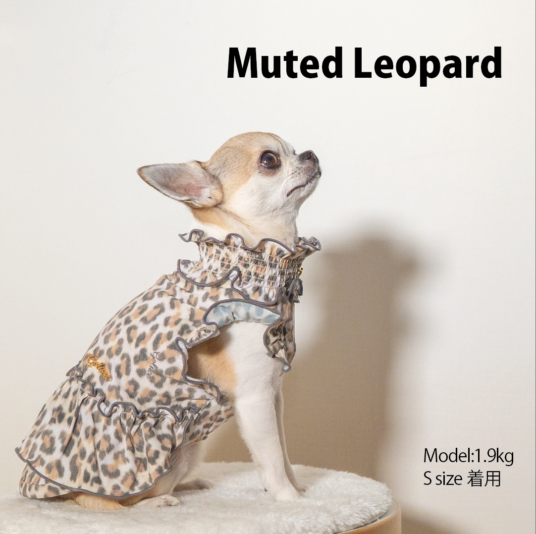 MUTED LEOPARD