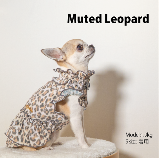 MUTED LEOPARD