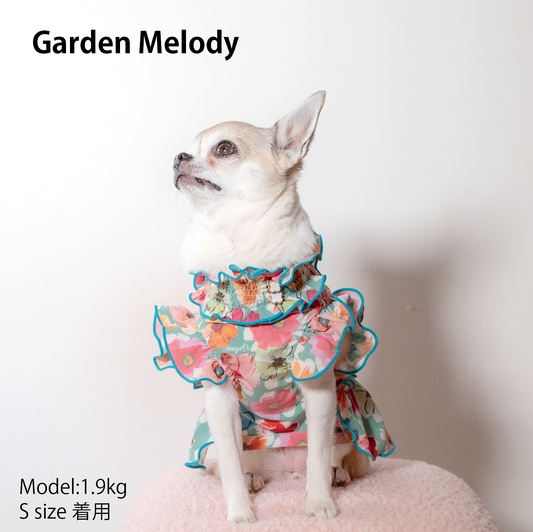 Garden Melody