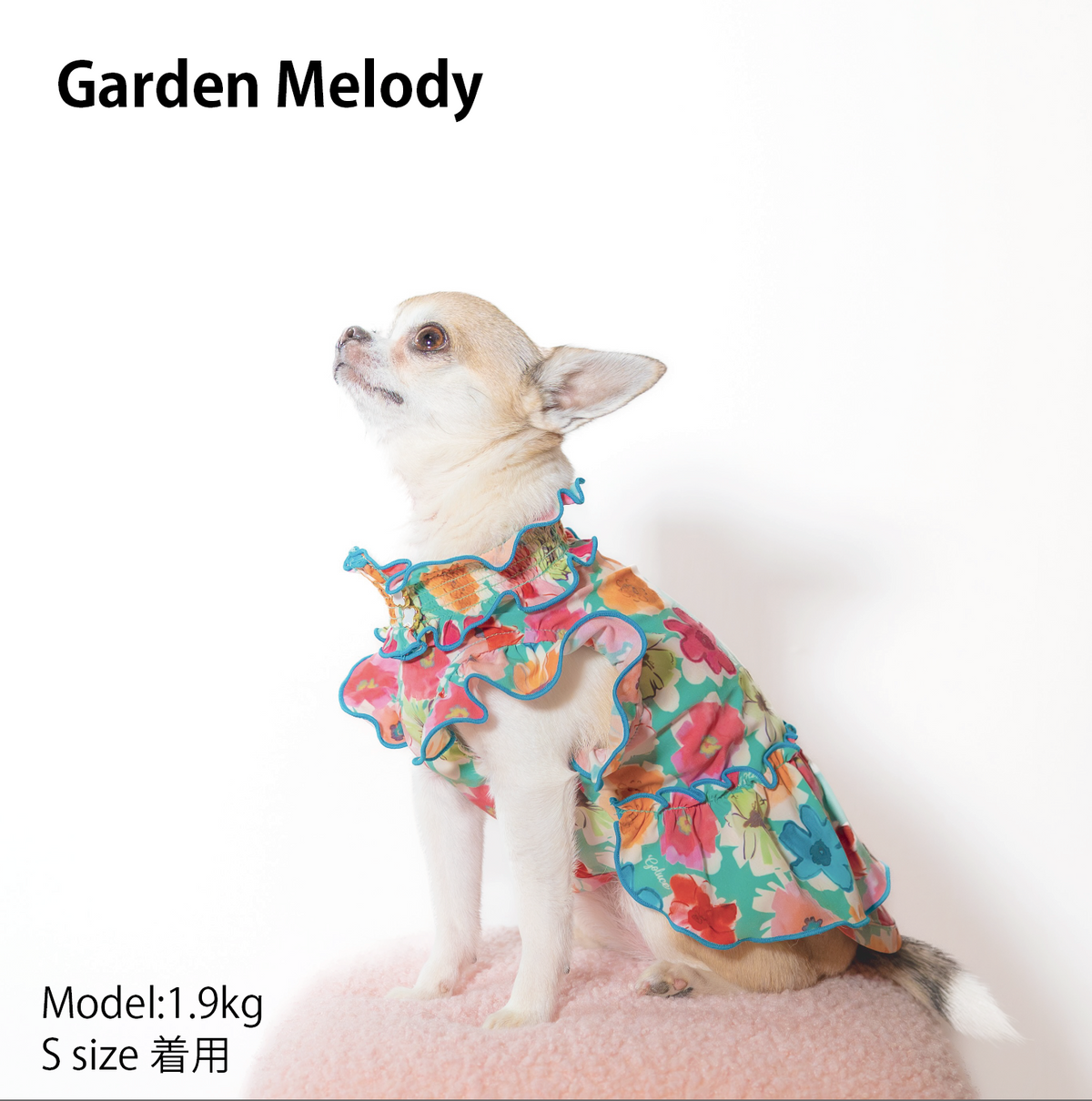 Garden Melody