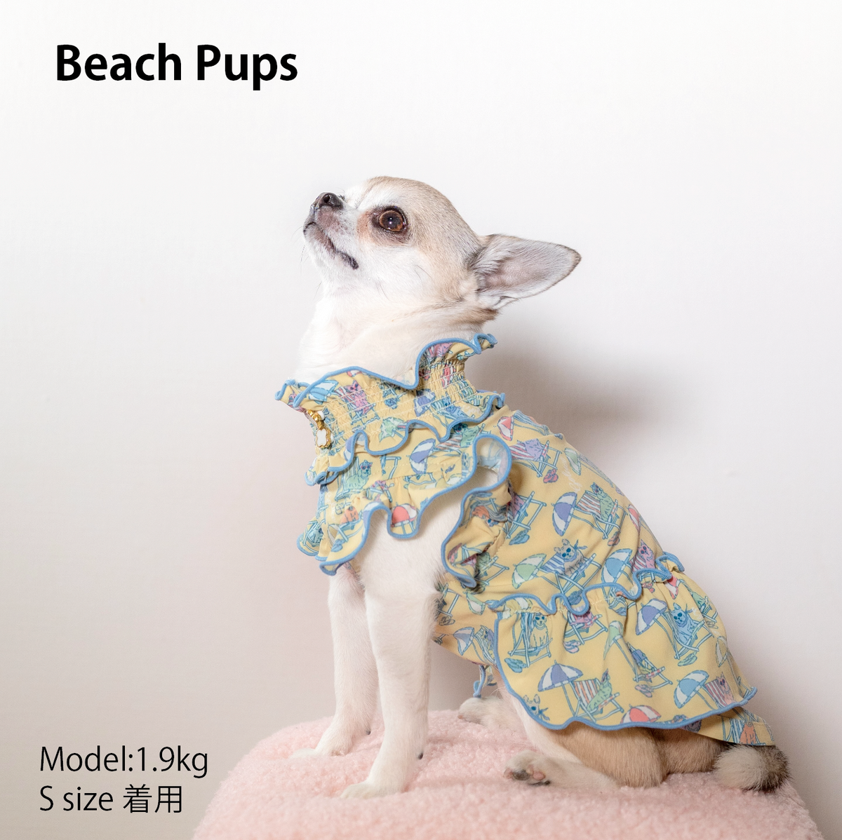 Beach Pups