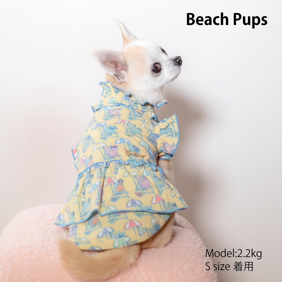 Beach Pups