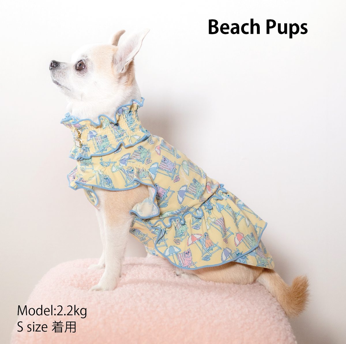 Beach Pups