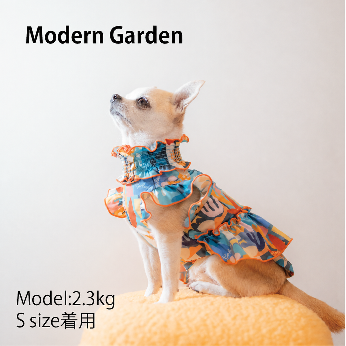 Modern Garden