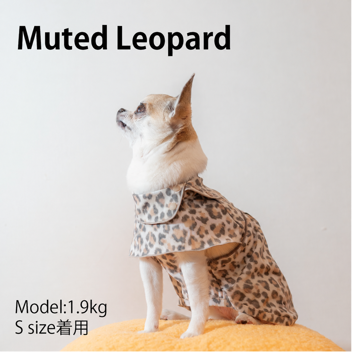 MUTED LEOPARD