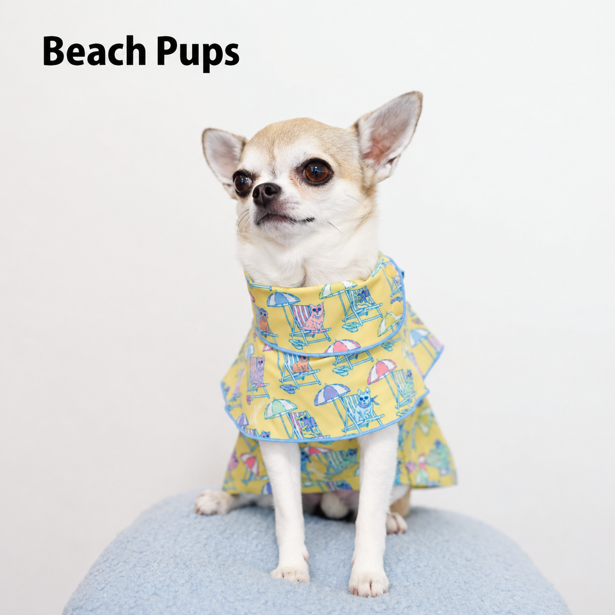 Beach Pups