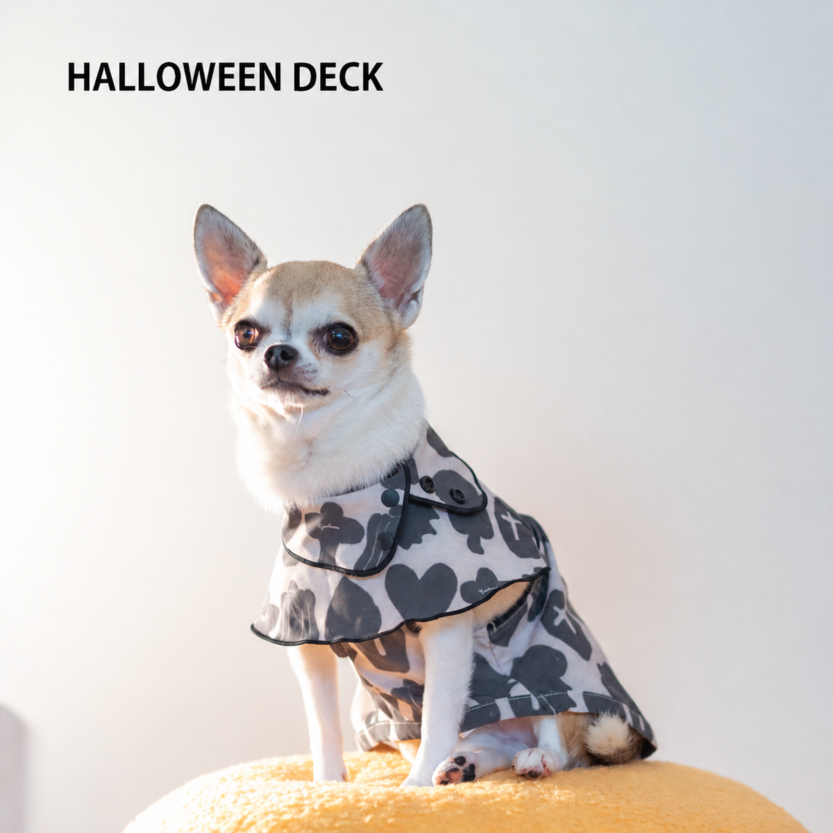 HALLOWEEN DECK