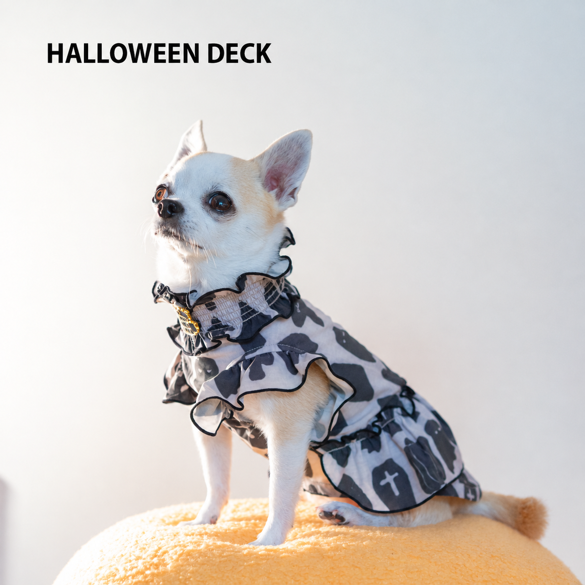 HALLOWEEN DECK
