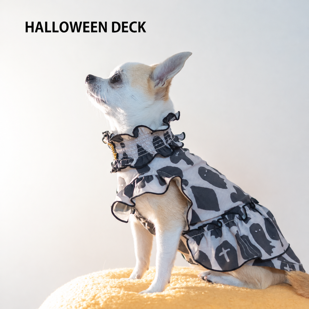 HALLOWEEN DECK