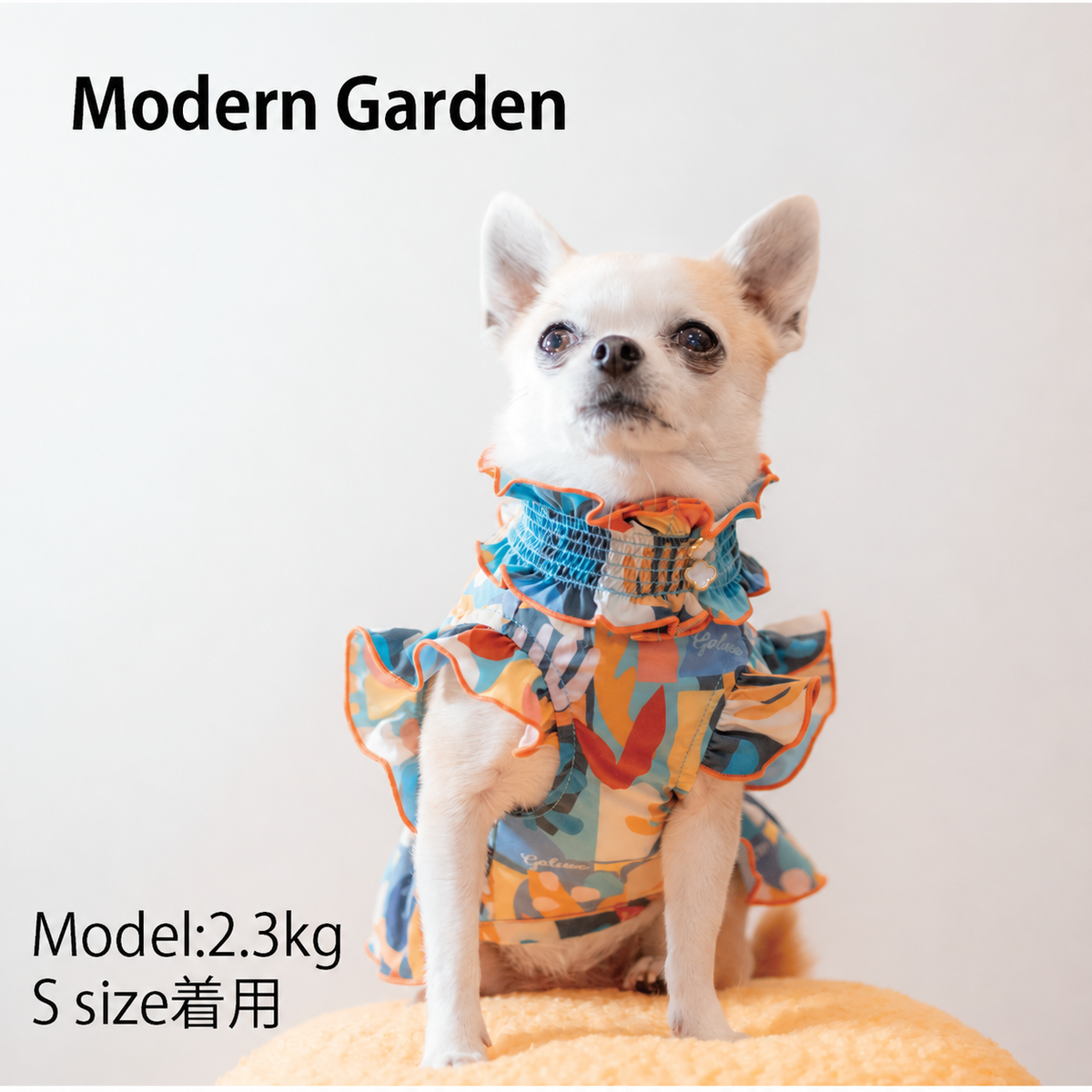 Modern Garden