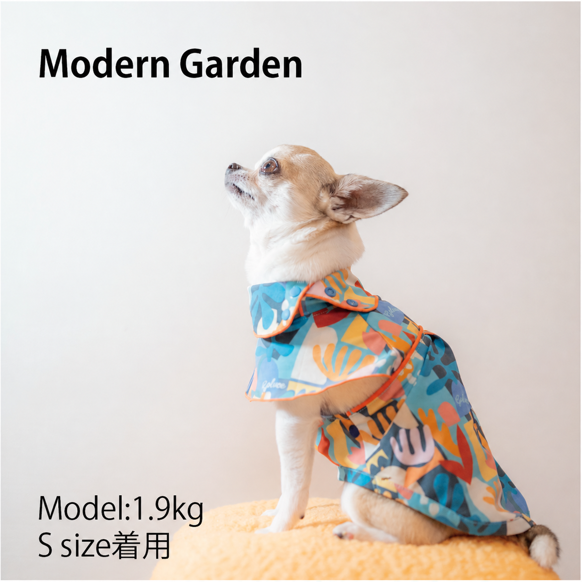 Modern Garden