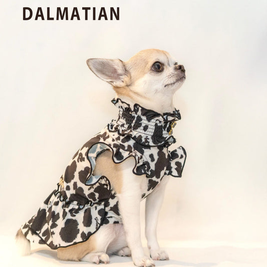 DALMATIAN