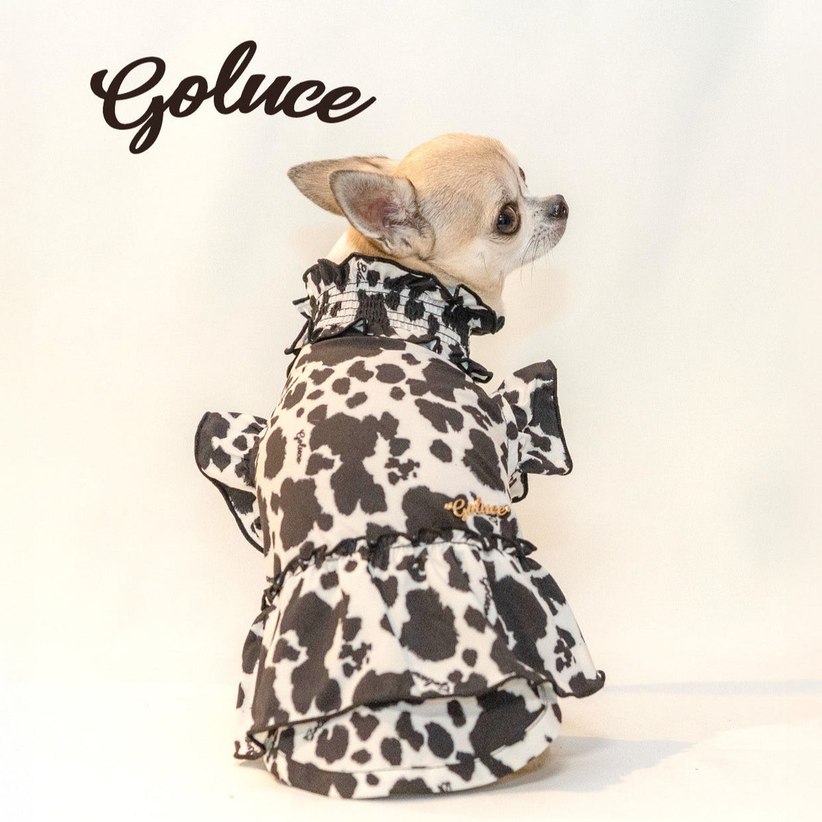 DALMATIAN