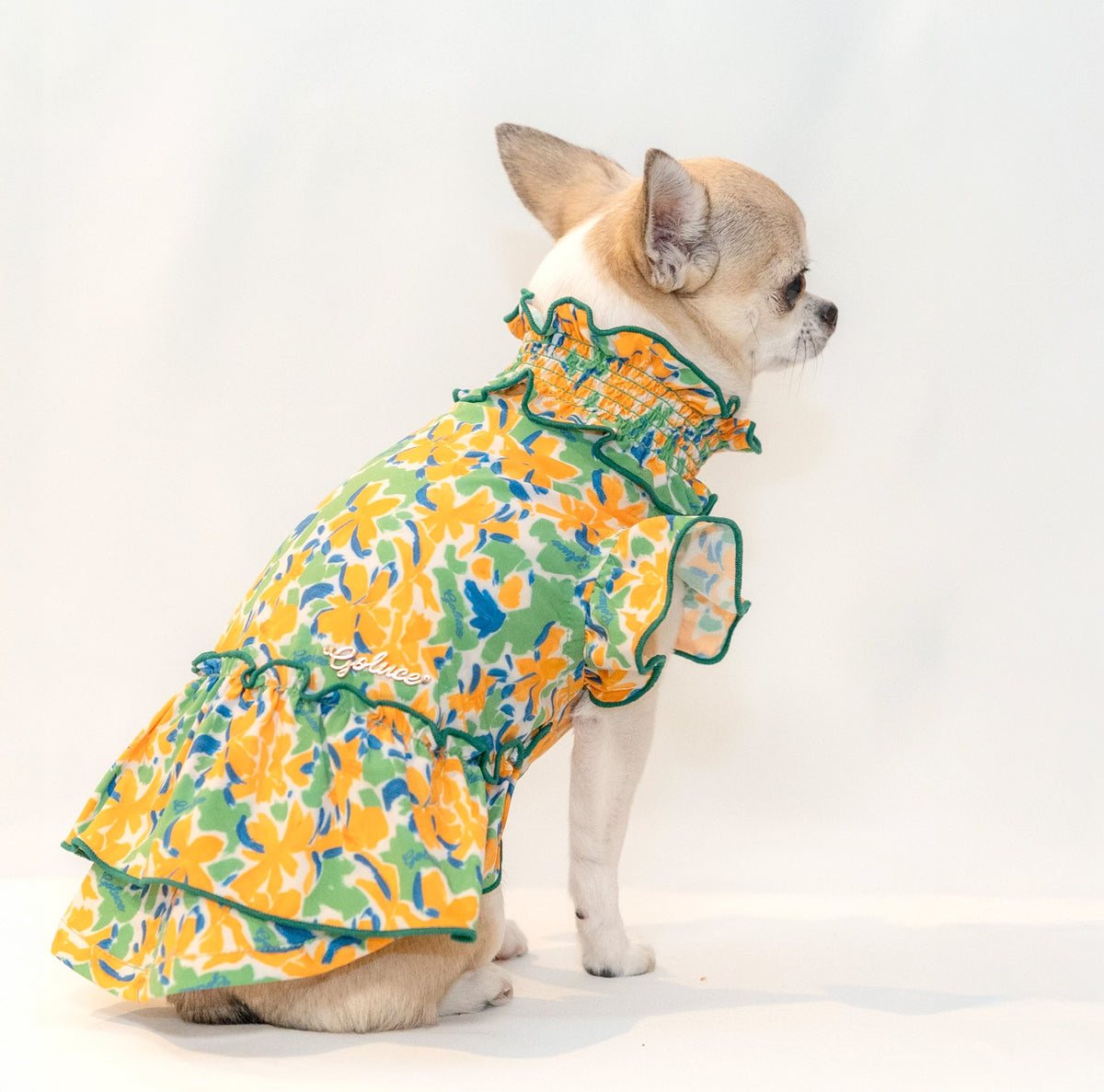 ORANGE BLOSSOM