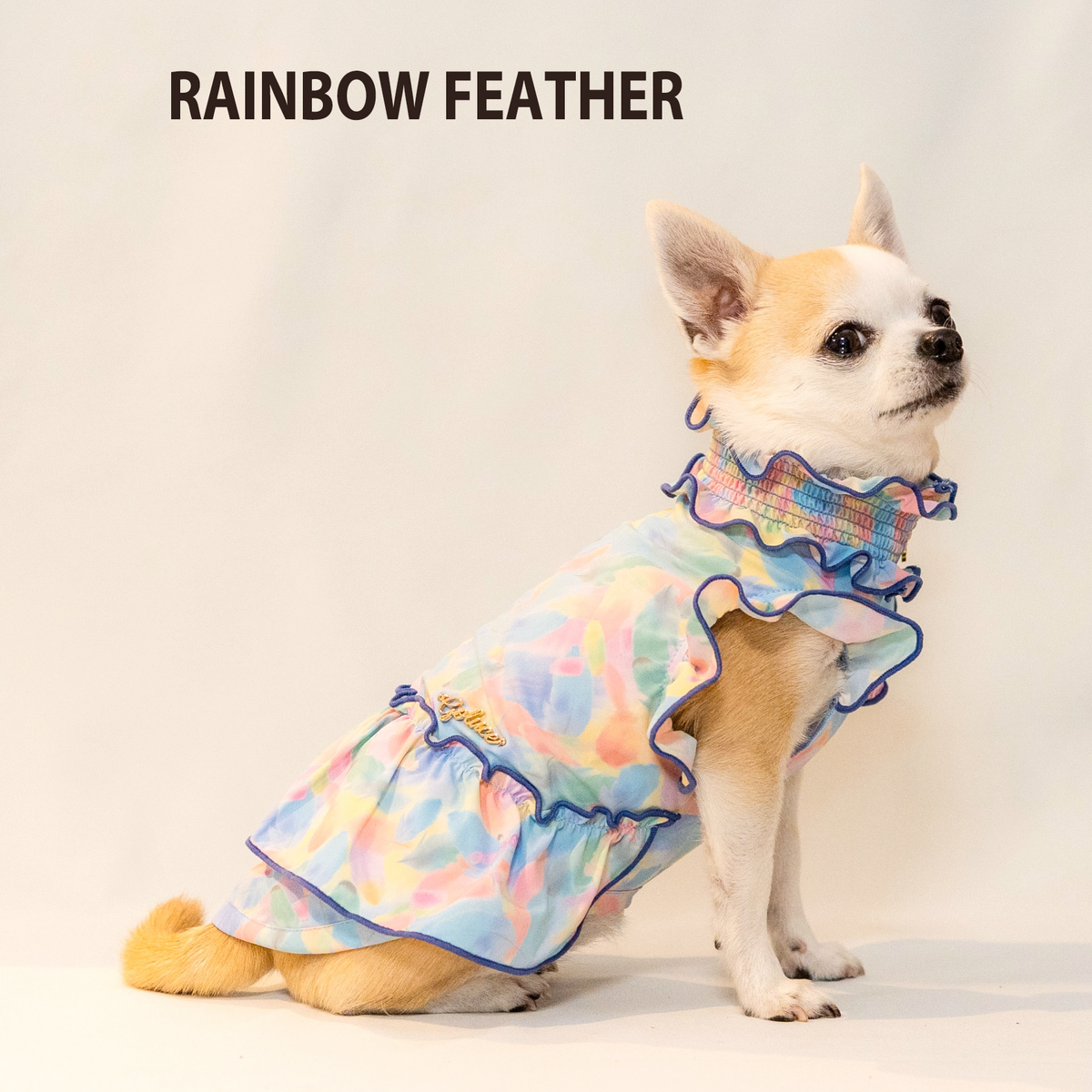 RAINBOW FEATHER