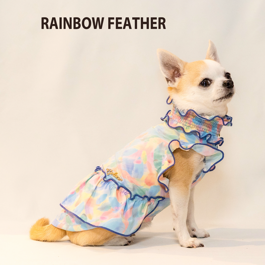 RAINBOW FEATHER